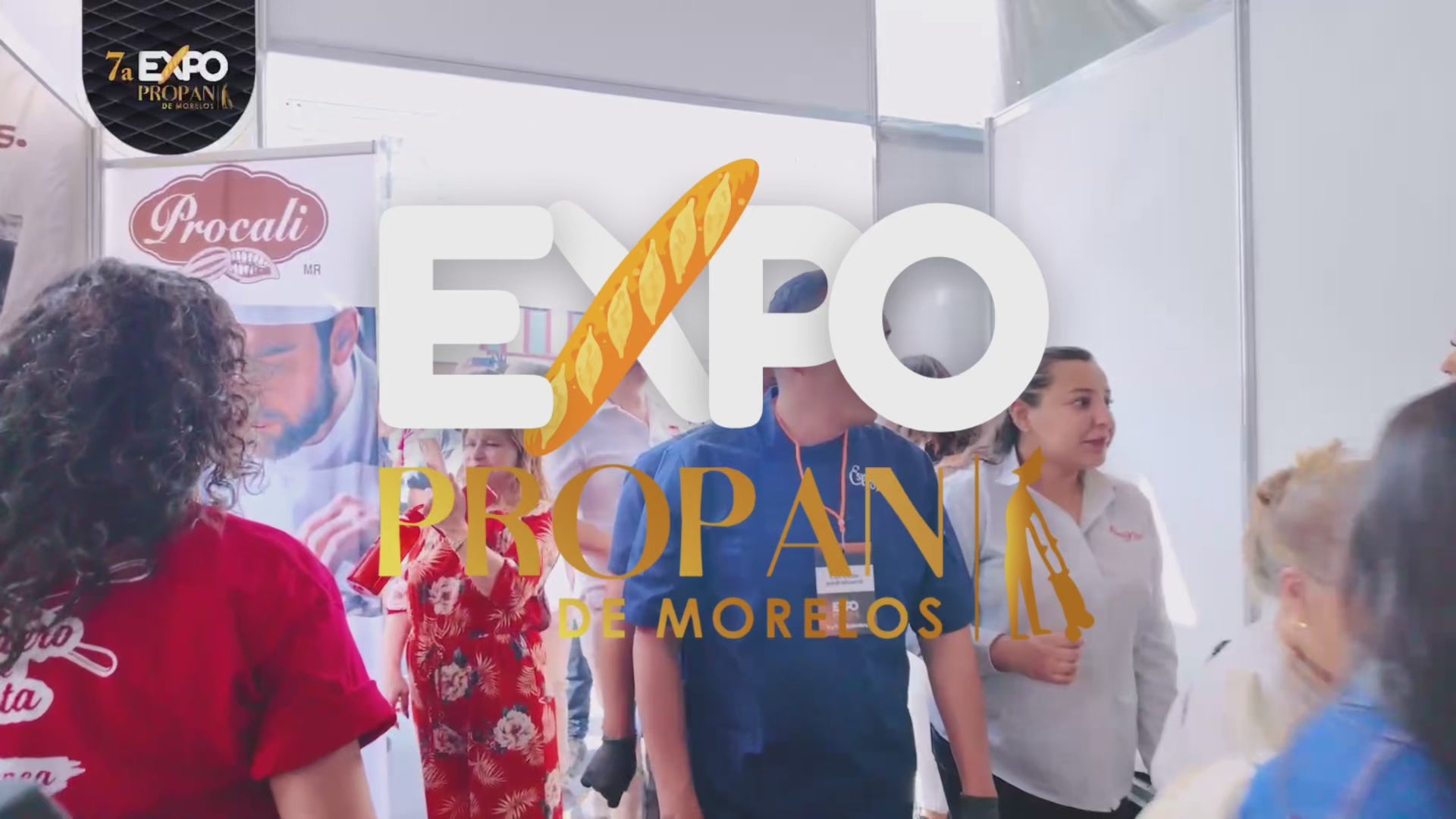 Cargar video: 